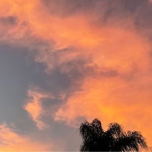 Meet your Posher, Sana